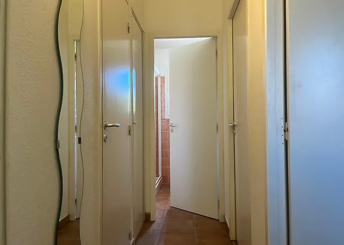 Cedrat Villa Porto-Vecchio